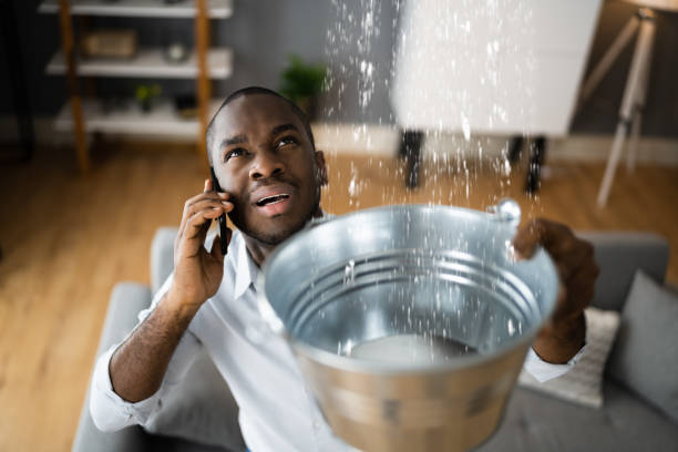 Best Local water damage restoration  in Marengo, IL