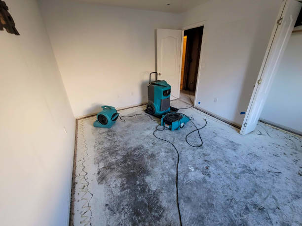 Best Carpet water damage restoration  in Marengo, IL