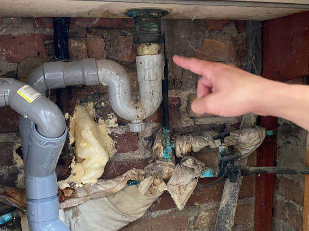 Sewage cleanup and water damage restoration in IL